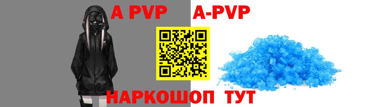 A PVP СК КРИС Новосибирск